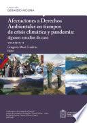 Libro Afectaciones a Derechos Ambientales en tiempos de crisis climática y pandemia: algunos estudios de caso, volumen II