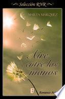 Libro Aire entre las manos (Aire y viento 1)