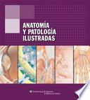 Libro Anatomia Y Patologia Ilustradas