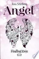 Libro Angel