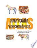 Libro Atlas: anatomí­a topográfica