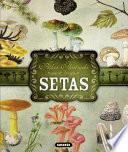 Libro Atlas Ilustrado de Las Setas