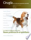 Libro Bases prácticas en el quirófano. Cirugía en la clínica de pequeños animales