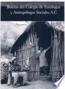 Libro Boletín Colegio de Etnólogos y Antropólogos Sociales 2008