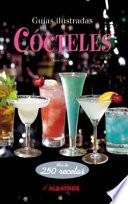 Libro Cocteles