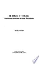 Libro De brujos y naguales