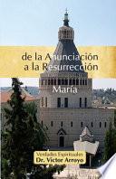 Libro de la Anunciación a la Resurrección