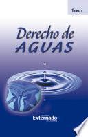 Libro Derecho de Aguas Tomo I