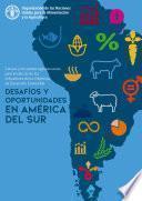 Libro Desafíos y oportunidades en América del Sur