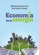 Libro Economía de la energía