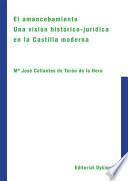 Libro El amancebamiento. Una visión histórico-jurídica en la Castilla moderna