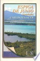 Libro Espiga de junio