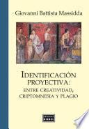 Libro Identificación proyectiva