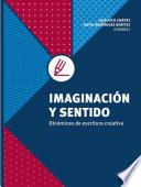 Libro Imaginación y sentido