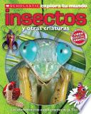 Libro Insectos