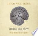 Libro Inside the Now