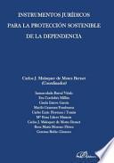 Libro Instrumentos jurídicos para la protección sostenible de la dependencia