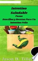 Libro Intestino Saludable