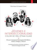 Libro Jóvenes e interseccionalidad: color de piel•etnia•clase. El Nuevo Aeropuerto Internacional de México: Atenco, Ecatepec y Texcoco