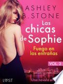 Libro Las chicas de Sophie 3: Fuego en las entrañas - Una novela erótica