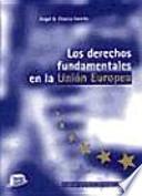 Libro Los derechos fundamentales en la Unión Europea