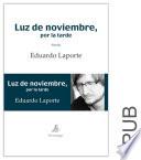 Libro Luz de noviembre, por la tarde