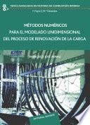 Libro Métodos numéricos para el modelado unidimensional del proceso de renovación de la carga