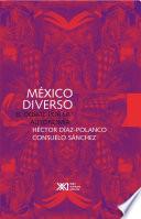 Libro México diverso
