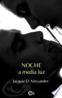 Libro Noche a media luz