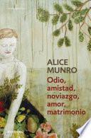 Libro Odio, amistad, noviazgo, amor, matrimonio