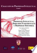 Libro Propiedad Intelectual, Derechos Fundamentales y Propiedad Industrial