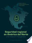 Libro Seguridad regional en América del Norte