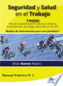 Libro Seguridad y salud en el trabajo. 7 pasos para la implementación práctica y efectiva en prevención de riesgos laborales en SG-SST