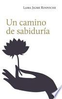 Libro Un Camino de Sabiduría