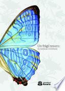 Libro Un frágil tesoro: las mariposas colombianas